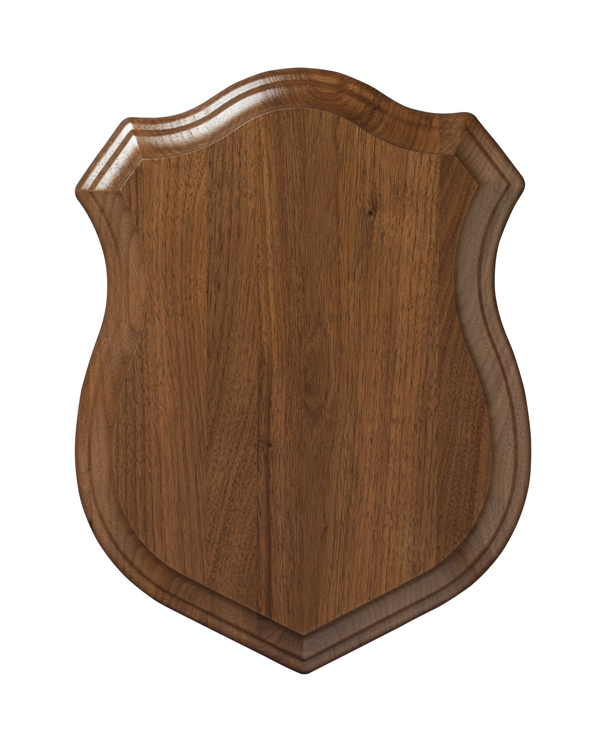 Multi-factor authentication icon